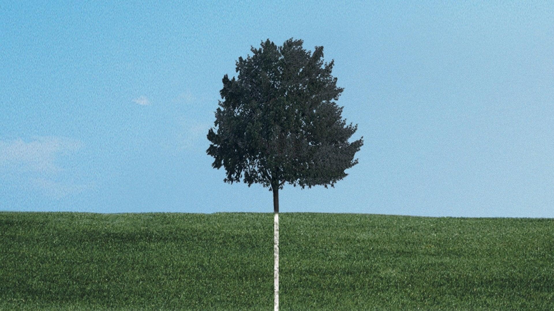 Six Feet Under | شش فوت زیر زمین